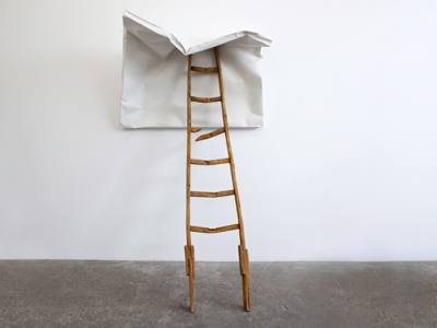 Johan de Wit, The glorious failure